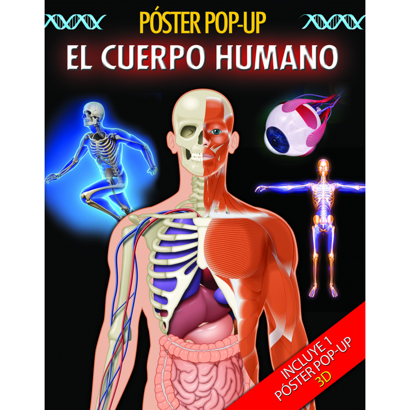 EL CUERPO HUMANO 23X29CM 8p