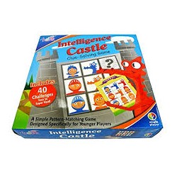 INTELLIGENCE CASTLE
